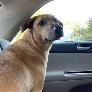 Meet your Posher, Katherine